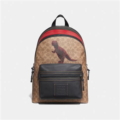 coach rexy backpack.